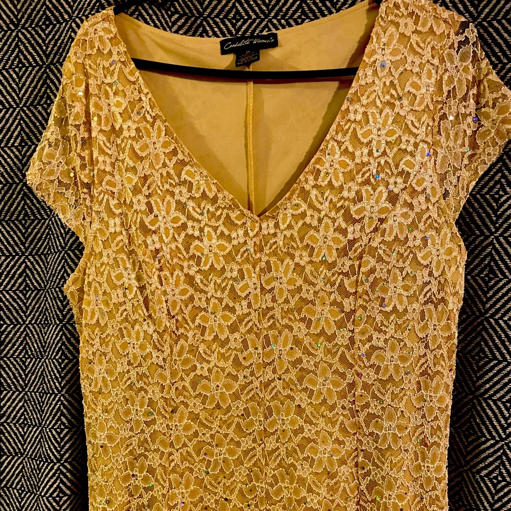 Beautiful Lace Dress size Women’s 1x
